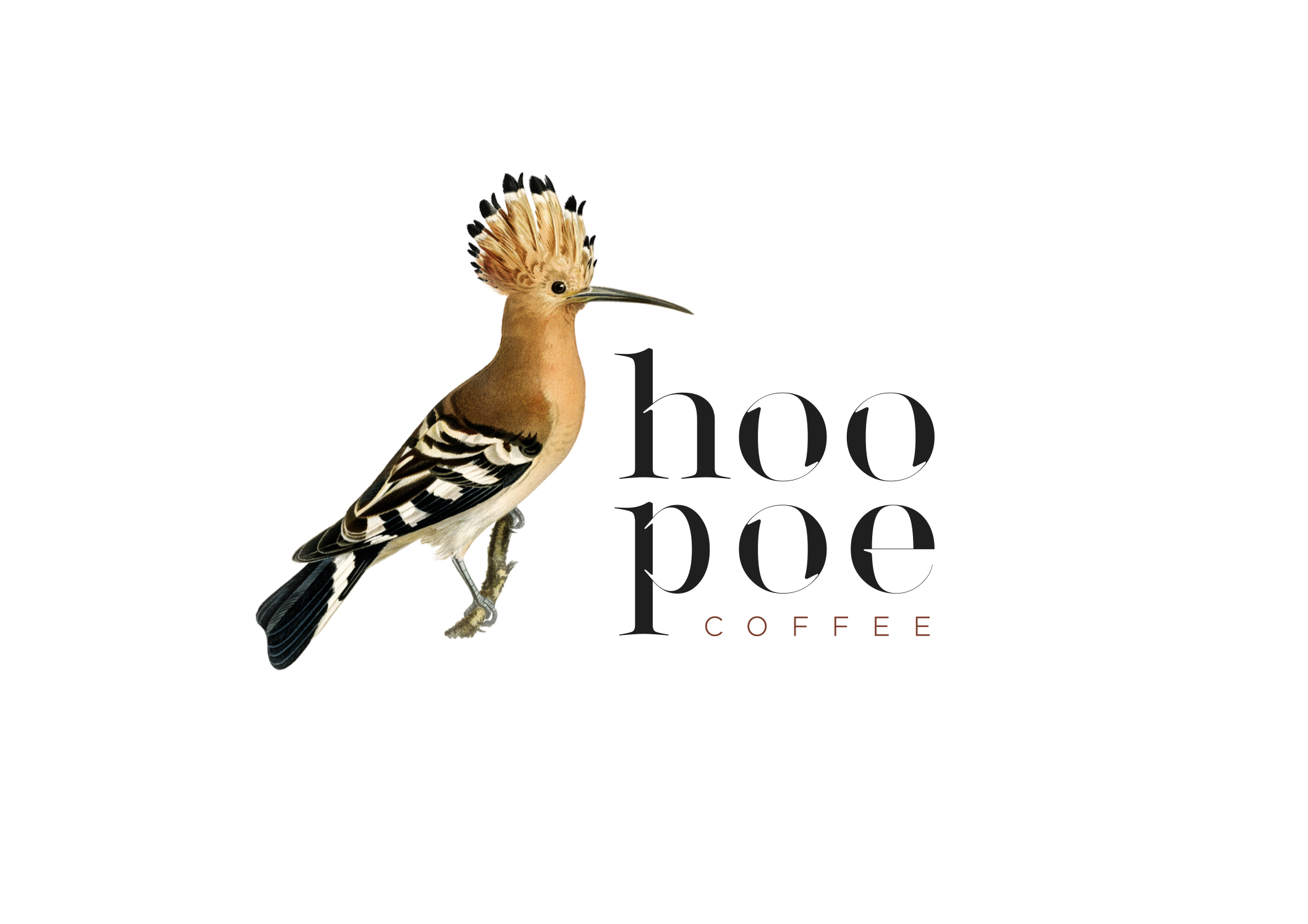 Hoopoe Coffee